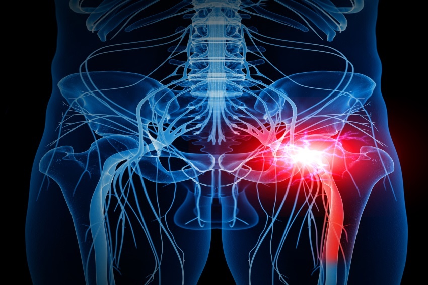 Spine and sciatic nerve anatomy illustration
